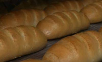 Ни одна индексация не спасет от таких цен: в Украине рекордно дорожает хлеб
