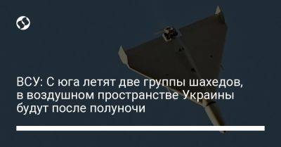 ВСУ: С юга летят две группы шахедов, в воздушном пространстве Украины будут после полуночи