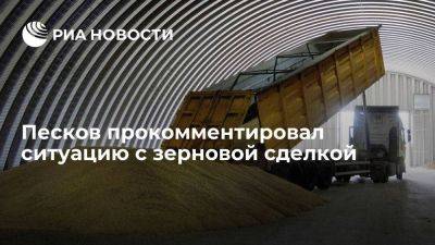 Песков: возвращение к зерновой сделке возможно после выполнения всех условий России