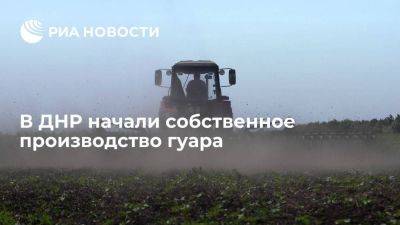 Глава сельхозпредприятия: в ДНР начали собственное производство гуара