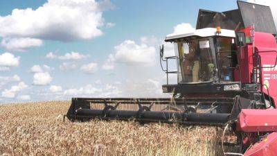 Хлеборобы Брестской области первыми в Беларуси намолотили миллион тонн зерна нового урожая