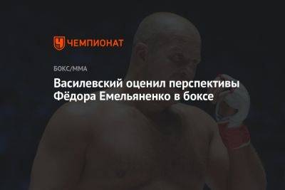 Василевский оценил перспективы Фёдора Емельяненко в боксе