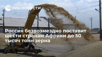 Патрушев: Россия безвозмездно поставит странам Африки до 50 тысяч тонн зерна