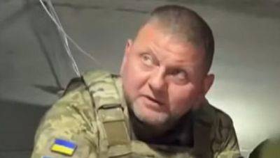 Залужный выбрал новую тактику, подробности: "Ему украинские матери и жены отдельно спасибо за это скажут"