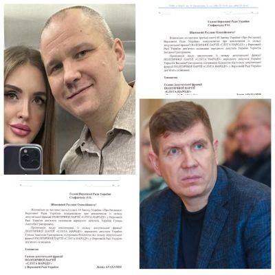 Богдан Торохтий и Анатолий Гунько исключены из фракции Слуга народа - документ