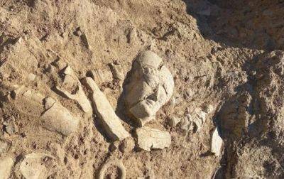 На Сицилии обнаружены статуэтки, использовавшиеся в ритуальных целях