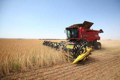 Strategie Grains понизила прогноз сбора пшеницы в ЕС до 124,7 миллиона тонн