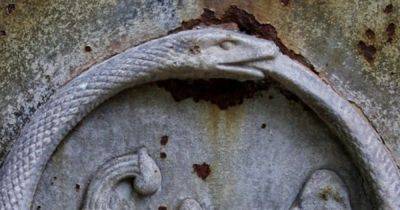 Эмблема вечности или спираль смерти. Ученые рассказали, почему змеи глотают свои хвосты (видео)