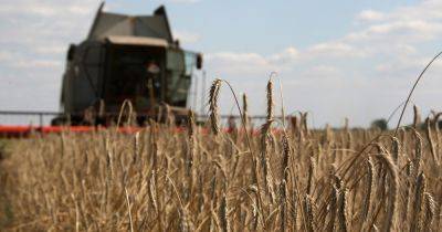 "Противоречат духу и букве договоренности": РФ выдвинула условия для возобновления зерновой сделки