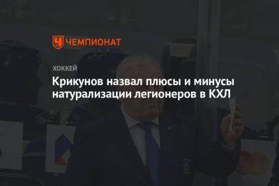 Крикунов назвал плюсы и минусы натурализации легионеров в КХЛ