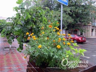 Погода в Одессе и Одесской области: изменение погоды