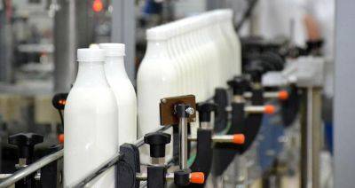 Почему Казахстан все еще «сидит» на импорте «молочки» из России, Беларуси и Кыргызстана