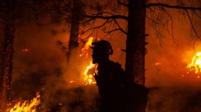 На Гавайях бушуют лесные пожары, погибли уже более 50 человек