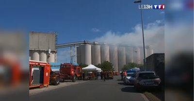 На одном из крупнейших в ЕС зернохранилищ вспыхнул мощный пожар