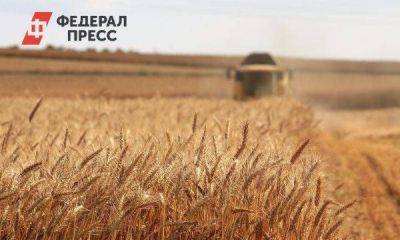 Зерновые спекуляции: возможны ли махинации с реэкспортом