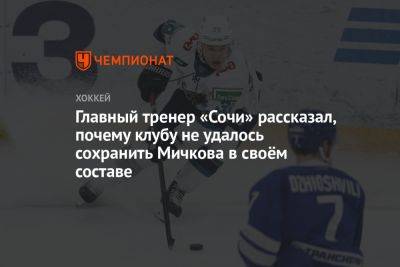 Главный тренер «Сочи» рассказал, почему клубу не удалось сохранить Мичкова в своём составе