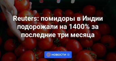 Reuters: помидоры в Индии подорожали на 1400% за последние три месяца