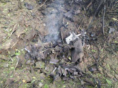 Ракетный удар по Ивано-Франковску - что известно о погибшем ребенке - фото