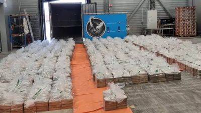 В порту Роттердама изъяли восемь тонн кокаина - ru.euronews.com - Эквадор - Панама - Роттердам