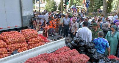 Завтра в Душанбе состоится выставка-продажа сельскохозяйственной продукции
