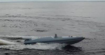 "Достанут корабли РФ в любой точке": Украина получила новое поколение морских дронов