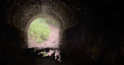 Услышал ужасный голос: охотника на привидений напугали слова из зловещего тоннеля (видео)