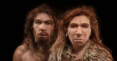 Экстремальное похолодание привело к вымиранию ранних людей в Европе 1,1 млн лет назад