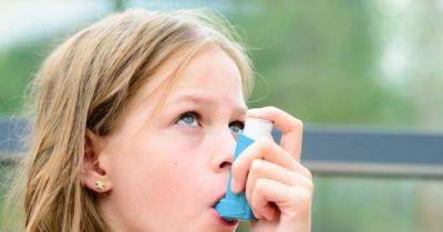 Важно для 339 млн человек: названы ключевые упражнения, которые улучшают работу легких при астме