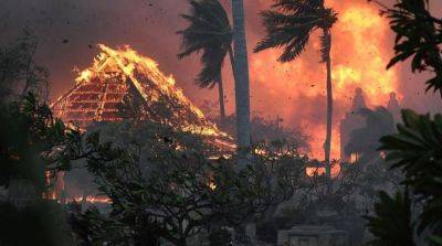 Количество погибших из-за лесных пожаров на Гавайях превысило 60