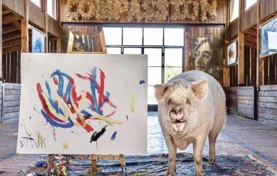 Свинья Пигкассо заработала $1 млн на продаже своих картин