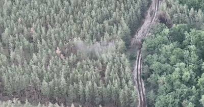Нашли в лесу: ДШВ на Лиманском направлении уничтожили БТР (видео)