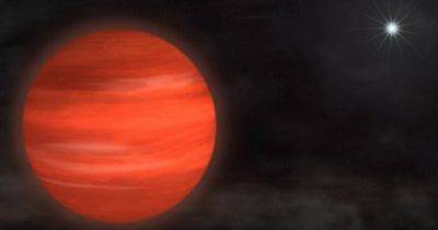 Гигантские Юпитеры и огромные "суперземли": какая самая большая планета во Вселенной