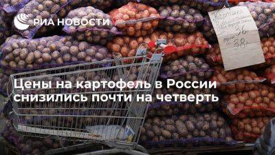 Минсельхоз: производители картофеля в России снизили цены на 23,5 процента