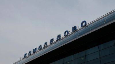 Задержанная в "Домодедово" блогер передала сообщение через адвоката
