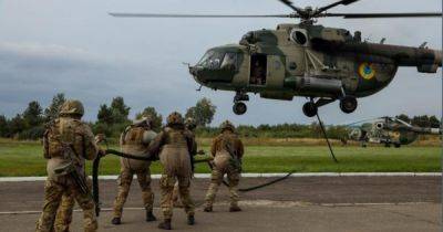 Помощь в контрнаступлении: Франция подготовила 6 тысяч украинских военнослужащих