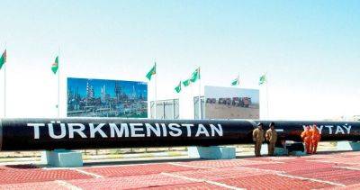 Дмитрий Биричевский - Туркменистан выразил «серьезную обеспокоенность» планами России расширить газовый союз - dialog.tj - Россия - Китай - Казахстан - Узбекистан - Туркмения