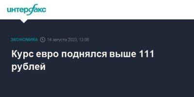 Владислав Силаев - Курс евро поднялся выше 111 рублей - smartmoney.one - Москва - США