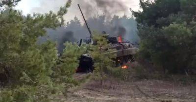 Обстреливала позиции ВСУ: дрон-камикадзе точным ударом уничтожил вражескую БМП-1 (видео)