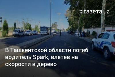 В Ташкентской области погиб водитель Spark, влетев на скорости в дерево