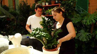 Италия: растения на передержке