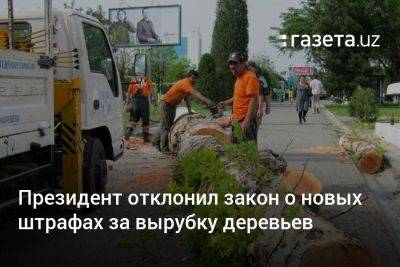 Президент Узбекистана отклонил закон о новых штрафах за вырубку деревьев