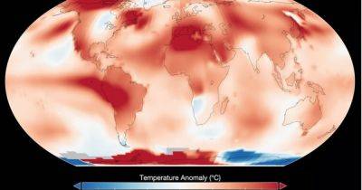 500 месяцев жары на Земле: июль 2023 года стал самым знойным за последние полтора века (фото)