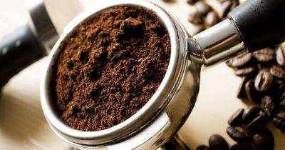 Чем заменить кофе: названы 10 лучших альтернатив