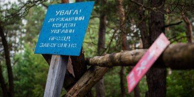 В Украину через Черниговскую область пытались проникнуть две российские ДРГ, они отошли с потерями — Наев
