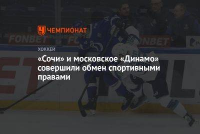 «Сочи» и московское «Динамо» совершили обмен спортивными правами