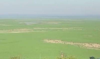 Каховское водохранилище в августе - появилось видео заросшего дна
