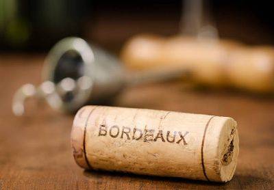 Во Франции кризис красного вина. Виноделы в Бордо массово выкапывают виноградные лозы