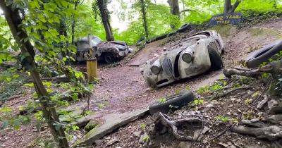 Брошенные раритеты: в лесу нашли кладбище классических автомобилей (видео)
