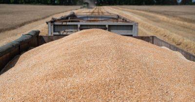 "Собираемся рассмотреть все": США ищут альтернативные пути экспорта зерна из Украины, – WSJ