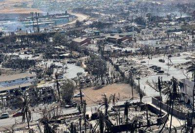 Количество жертв лесных пожаров на Гавайях возросло до 106 - unn.com.ua - США - Украина - Киев - штат Гавайи